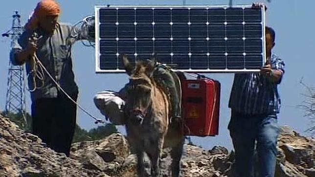 Burros con wifi y placas solares para proporcionar internet a los pastores en el campo