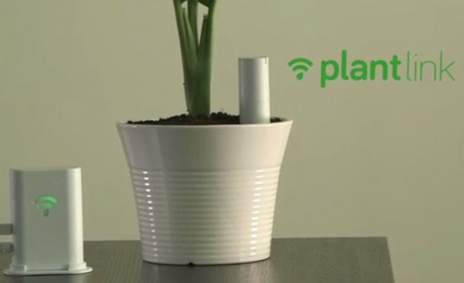 Conecta tus plantas a Internet con PlantLink y la wifi de tu casa