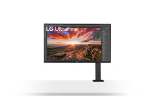LG Ultrafine Ergo